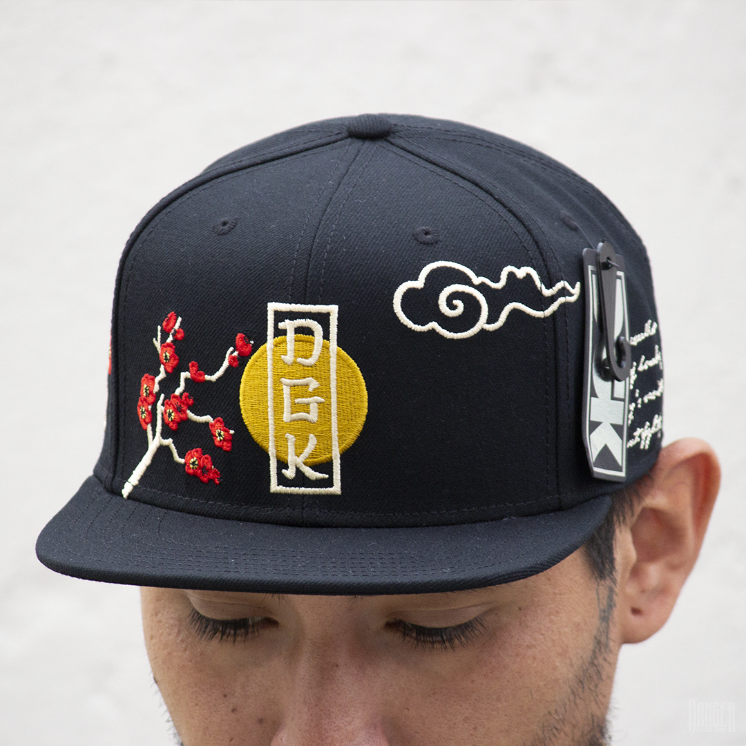 Gorra DGK Patience Snapback Black