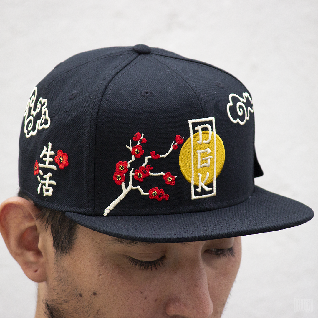 Gorra DGK Patience Snapback Black