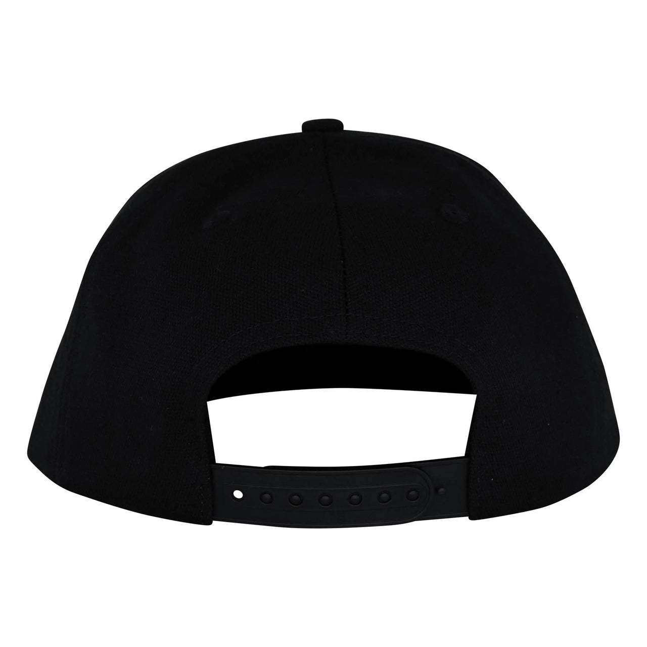 Gorra Santa Cruz Dressen Celtic Dogs Black