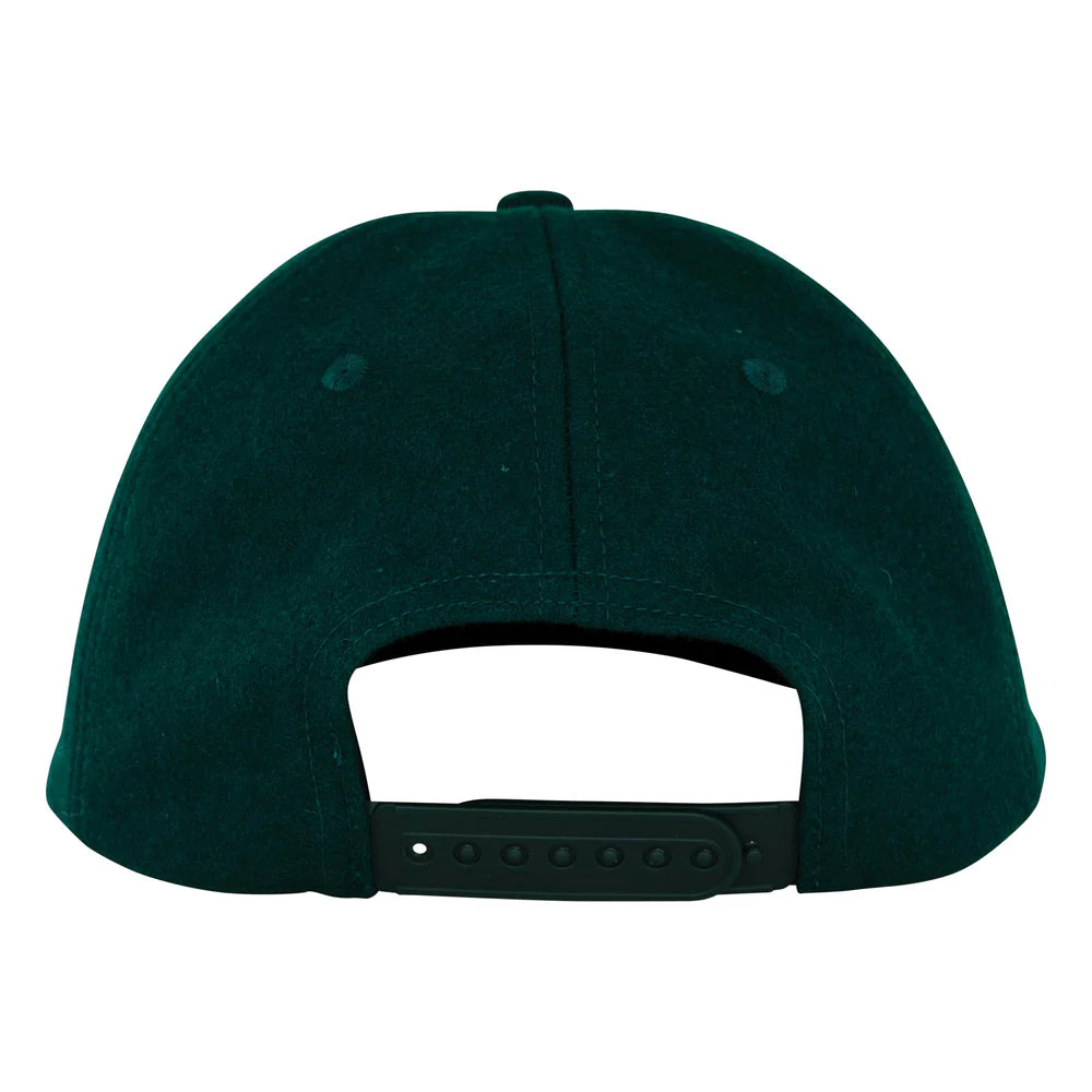 Gorra Santa Cruz Screaming Fire Forest