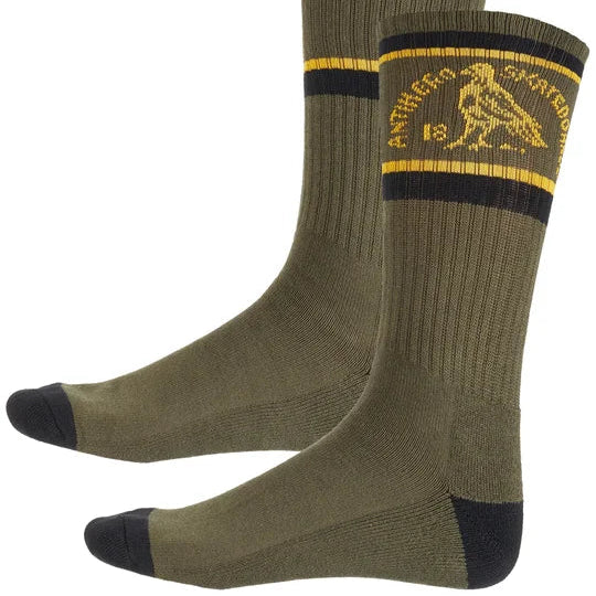 Calcetas Antihero Clubhouse Olive Gold Black