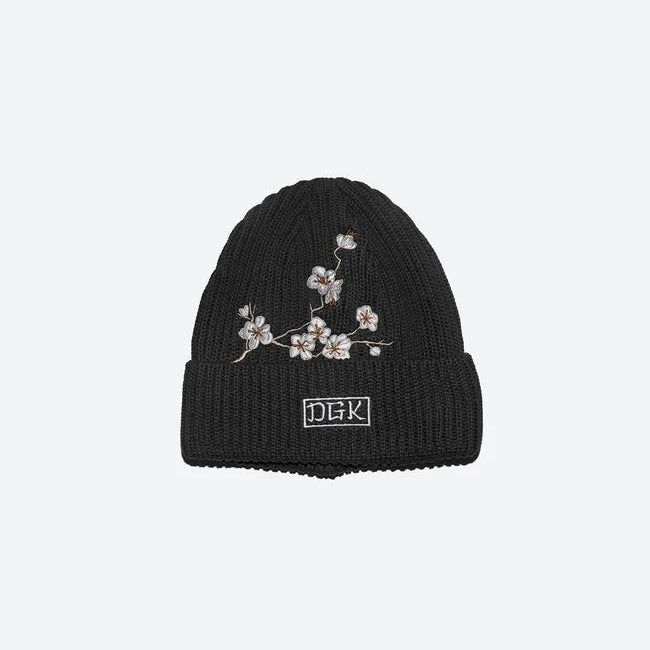 Beanie DGK Zion Black