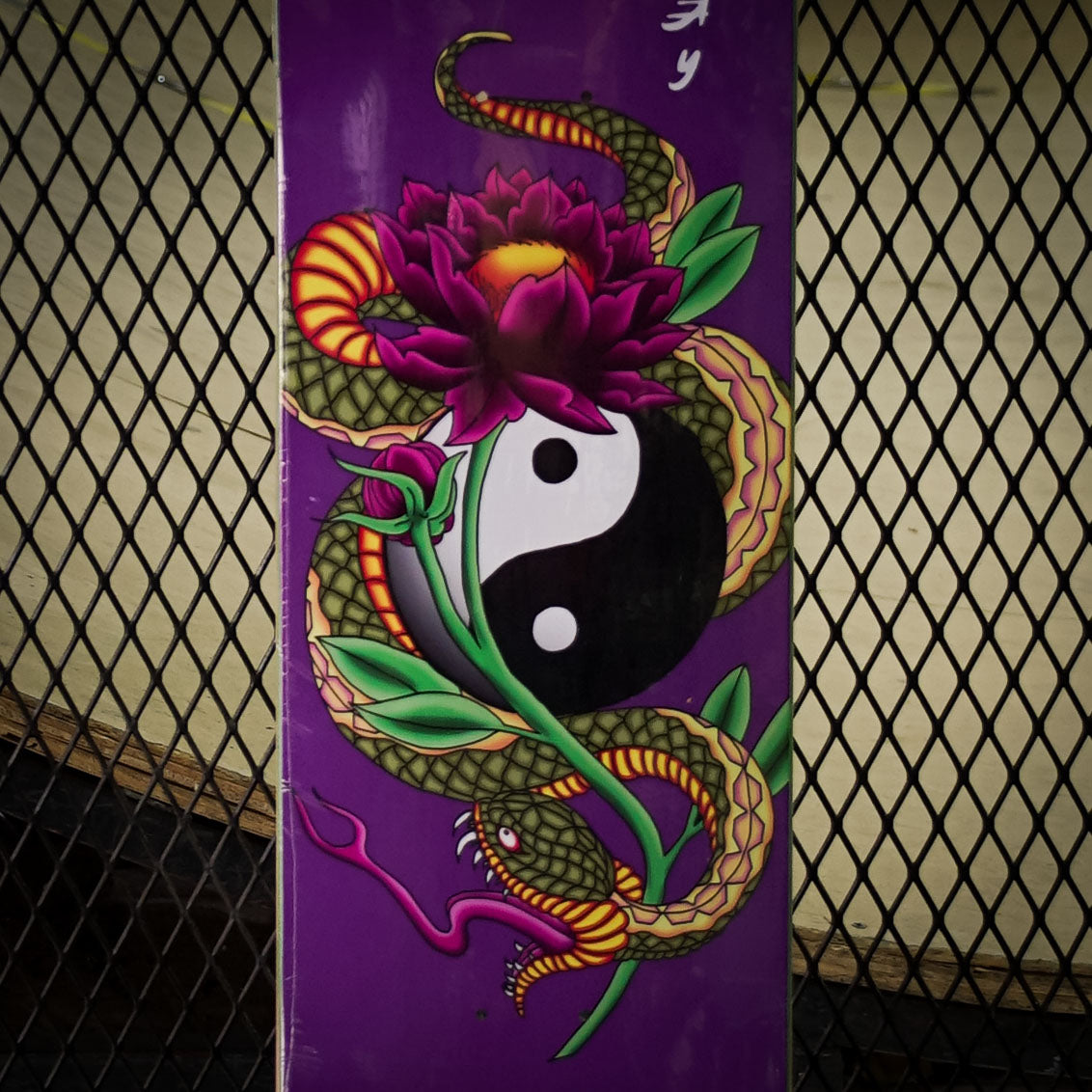 Tabla DGK Viper Purple