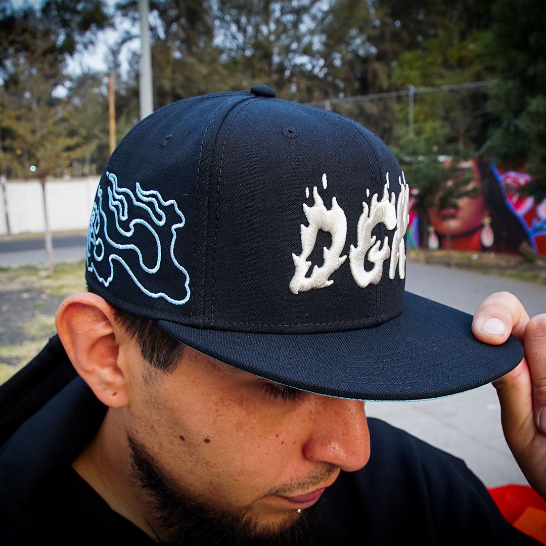 Gorra DGK Vapors Black